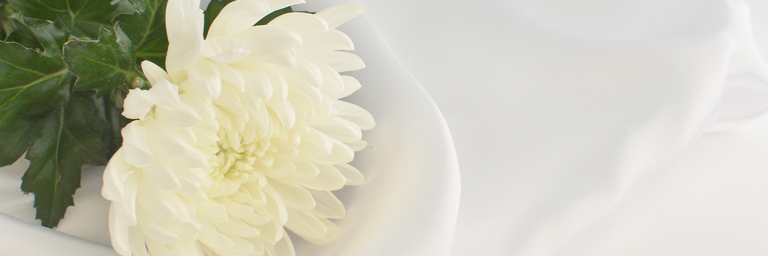 プライバシーポリシー